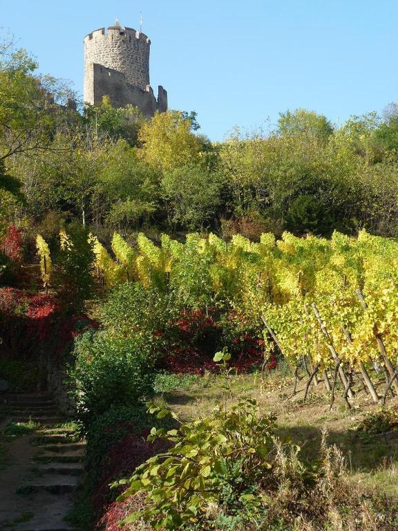 Hotel Les Remparts Kaysersberg-Vignoble ภายนอก รูปภาพ